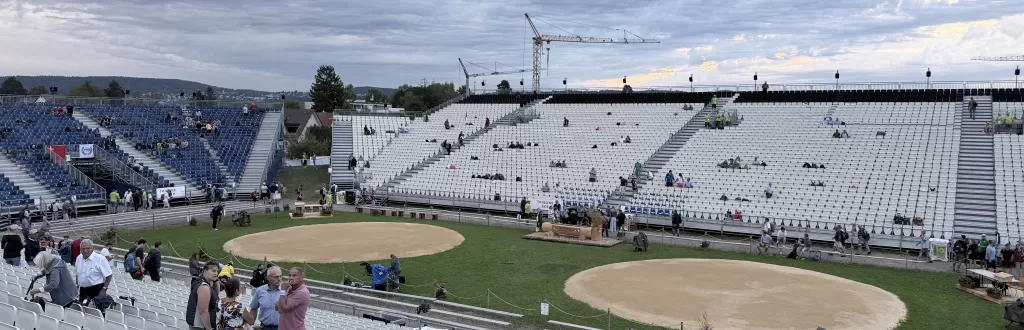Arena