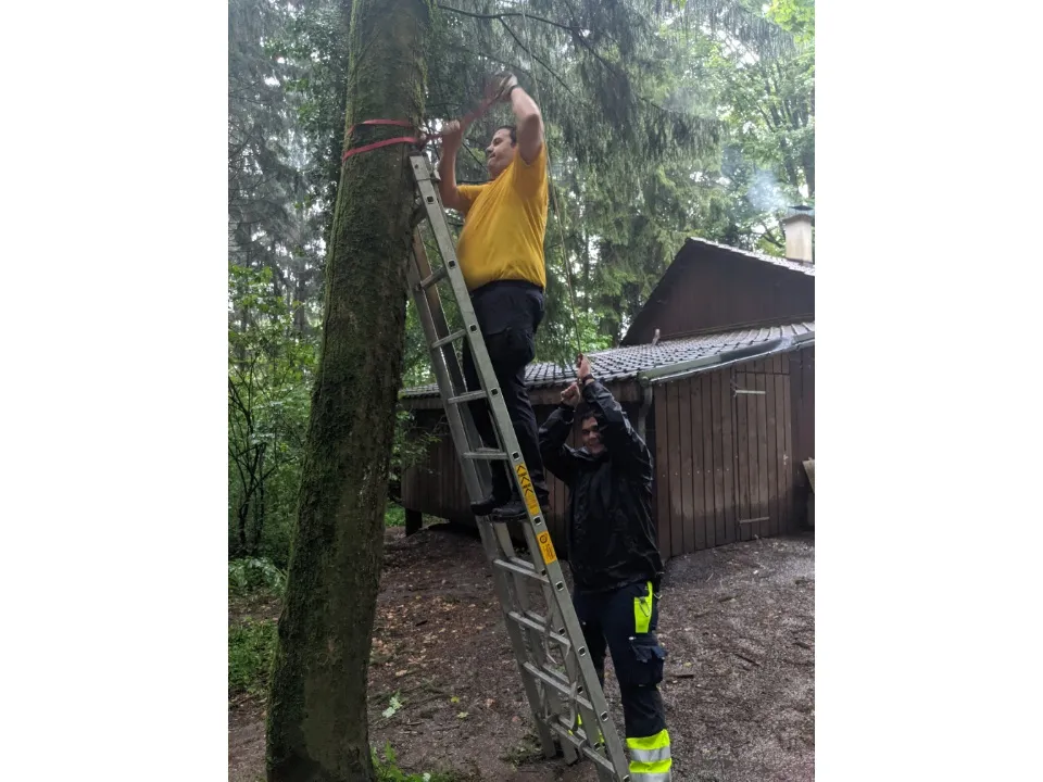 Montage des Unterstandes