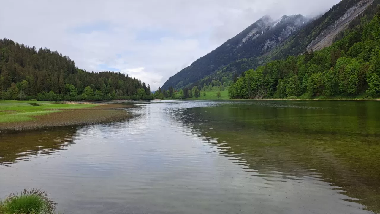 Obersee, Näfels/Mollis