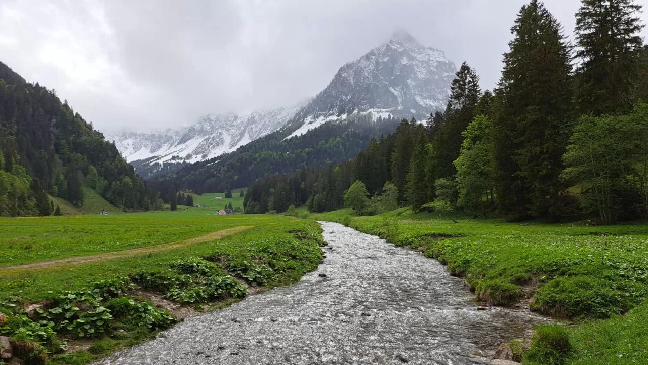 Zufluss zum Obersee