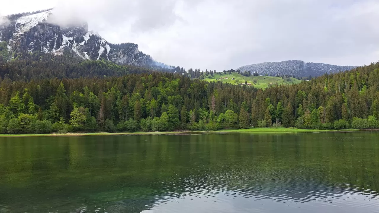 Obersee und glarner Alpen im Hintergrund