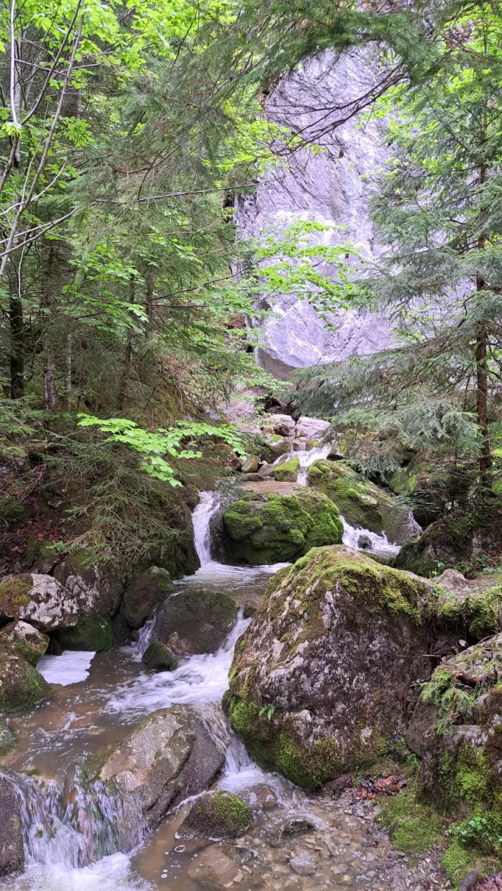 Wasserfall